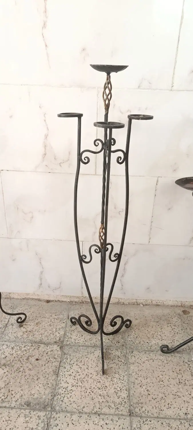 استندگل،|گل و گیاه طبیعی|همدان, |دیوار