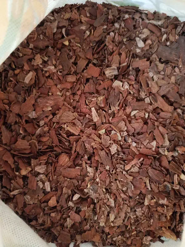 بلوط|خوردنی و آشامیدنی|صدرا-فارس, فاز ۲|دیوار