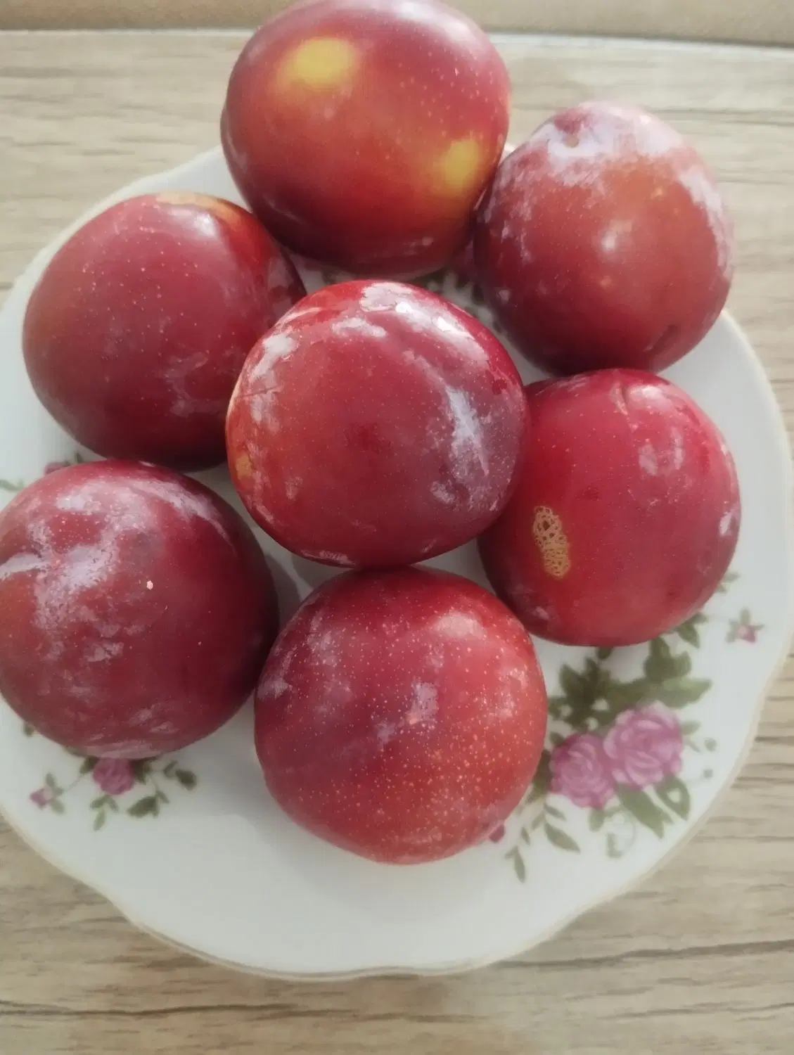 آلوچه|خوردنی و آشامیدنی|شاهین دژ, |دیوار