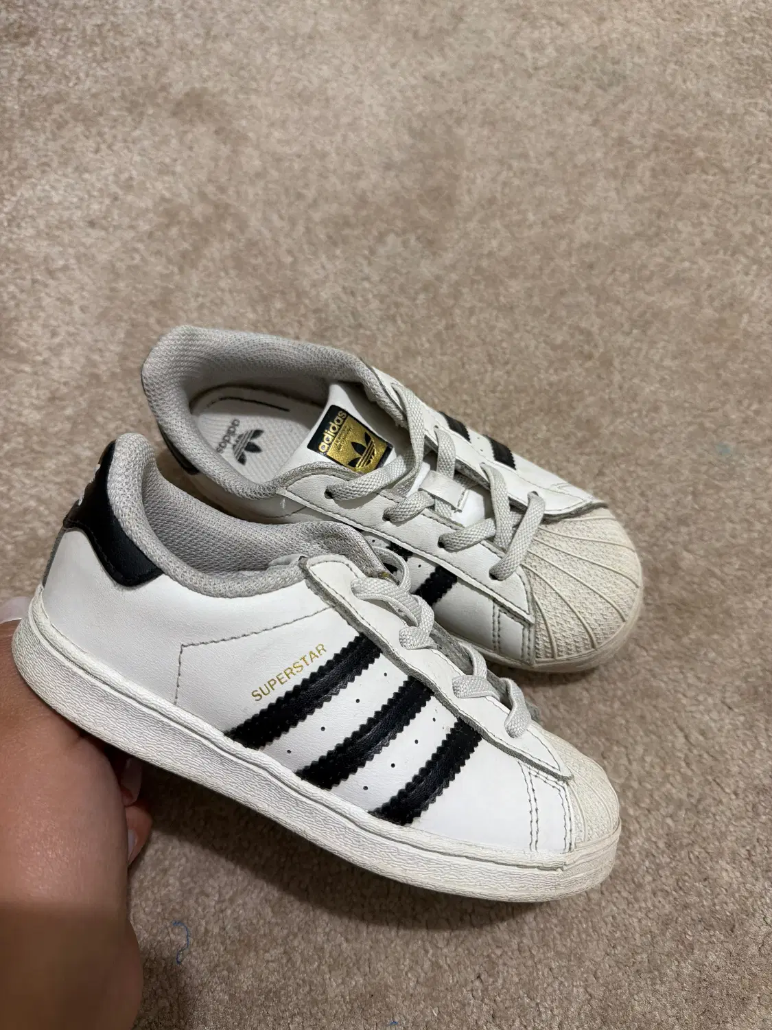 Katoni adidas|کفش و لباس بچه|تهران, حکمت|دیوار