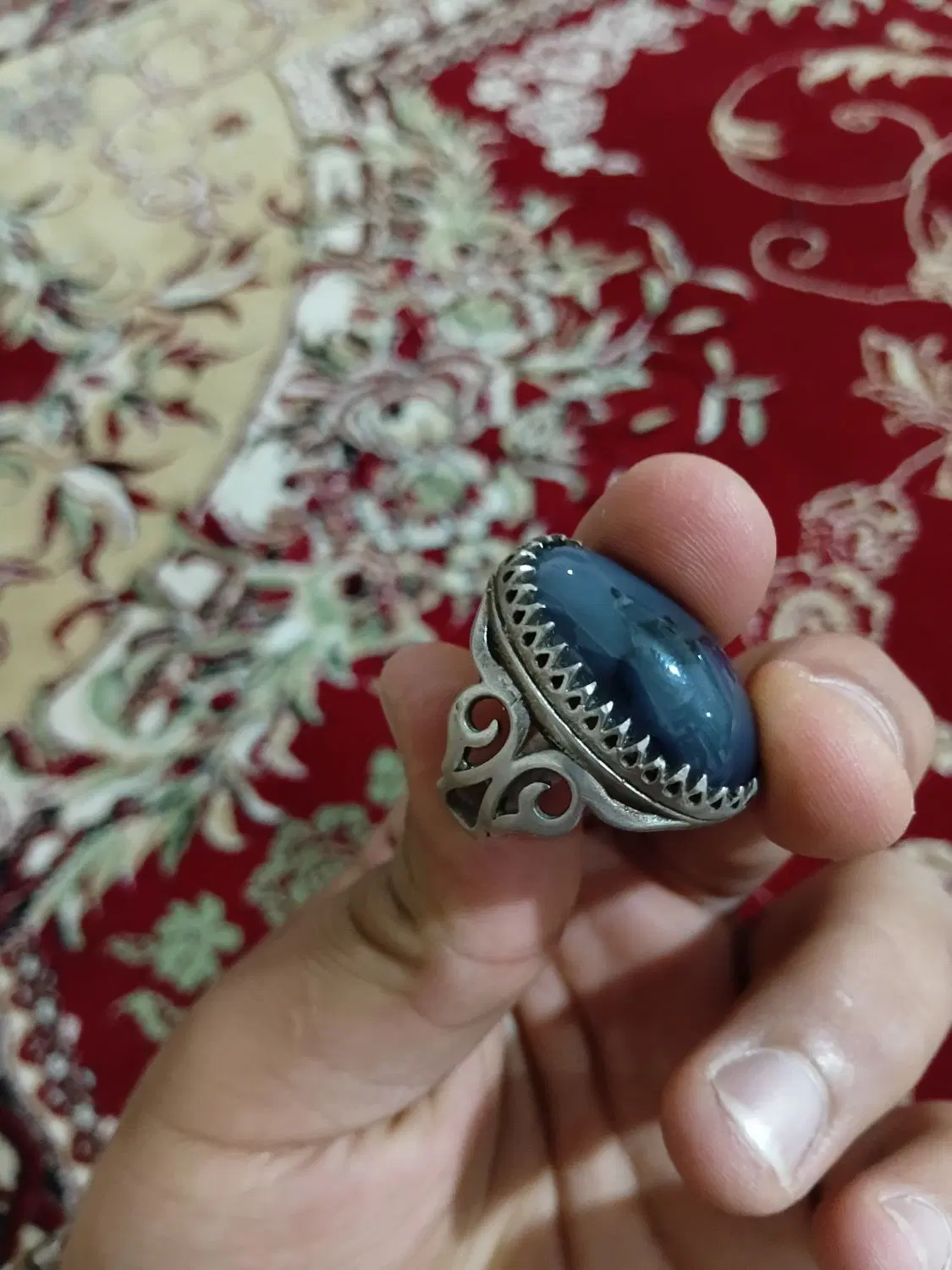 شجر|کلکسیون و سرگرمی|دزفول, |دیوار