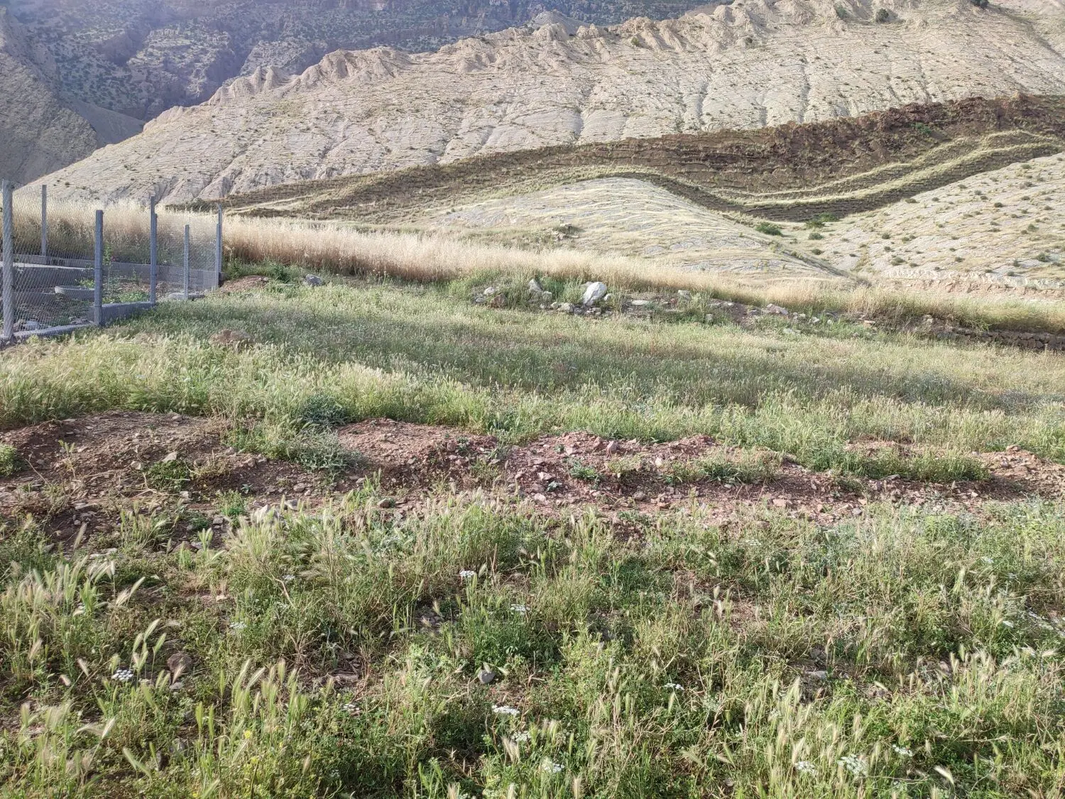 زمین|فروش زمین و ملک کلنگی|آبدانان, |دیوار