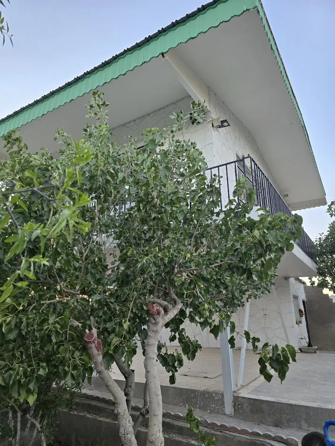 تصویر 3