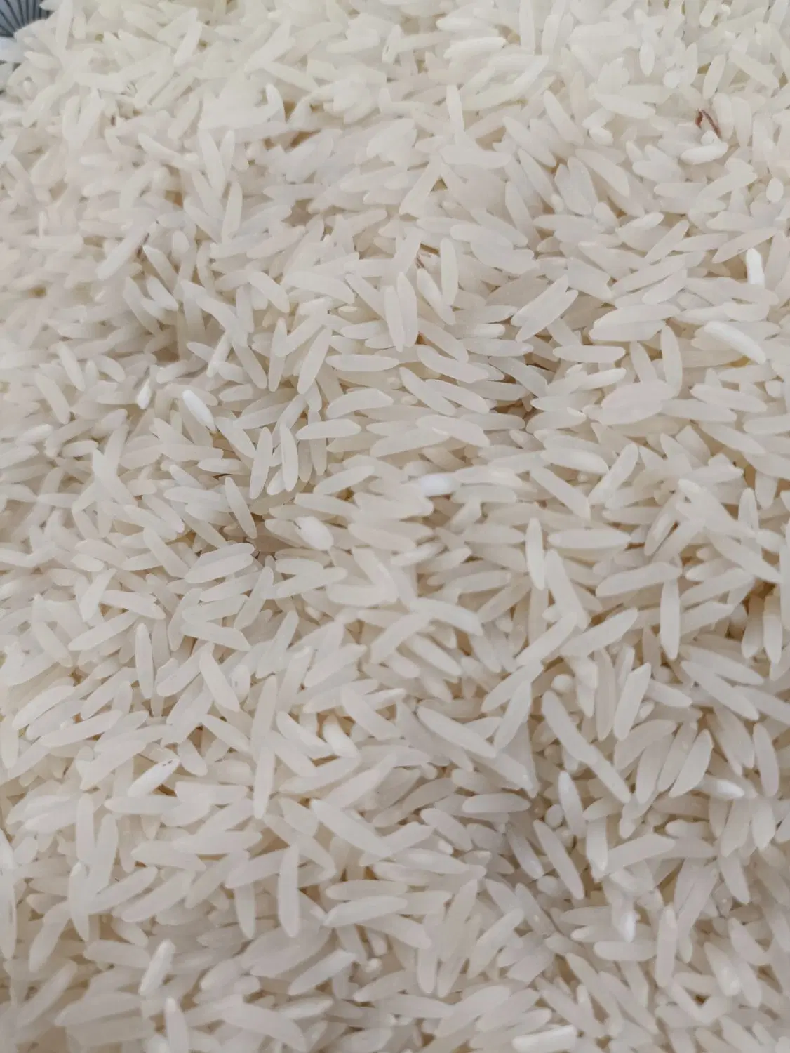 برنج|خوردنی و آشامیدنی|گرگان, |دیوار
