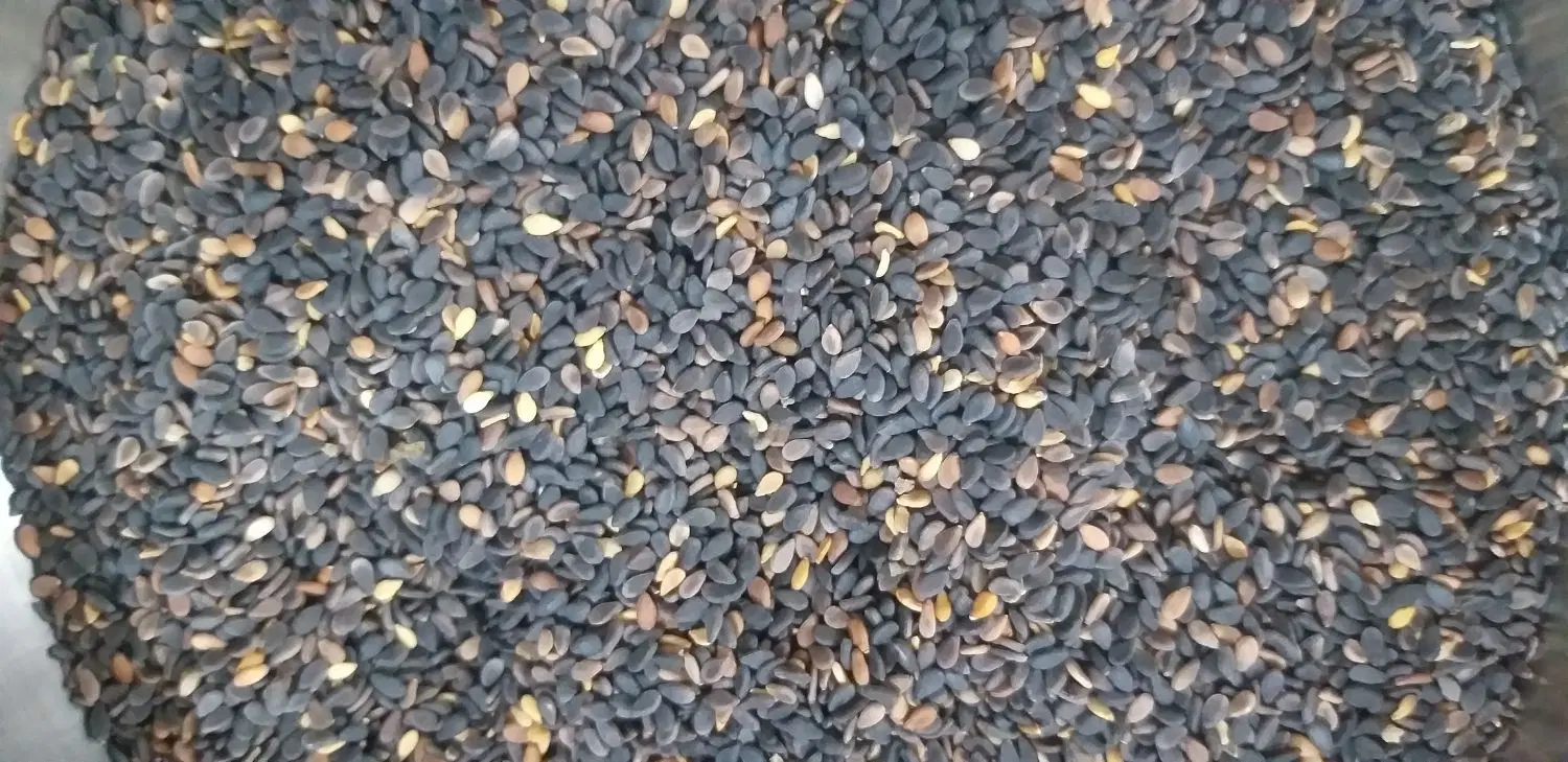 کنجدسیاه|خوردنی و آشامیدنی|اصلاندوز, |دیوار