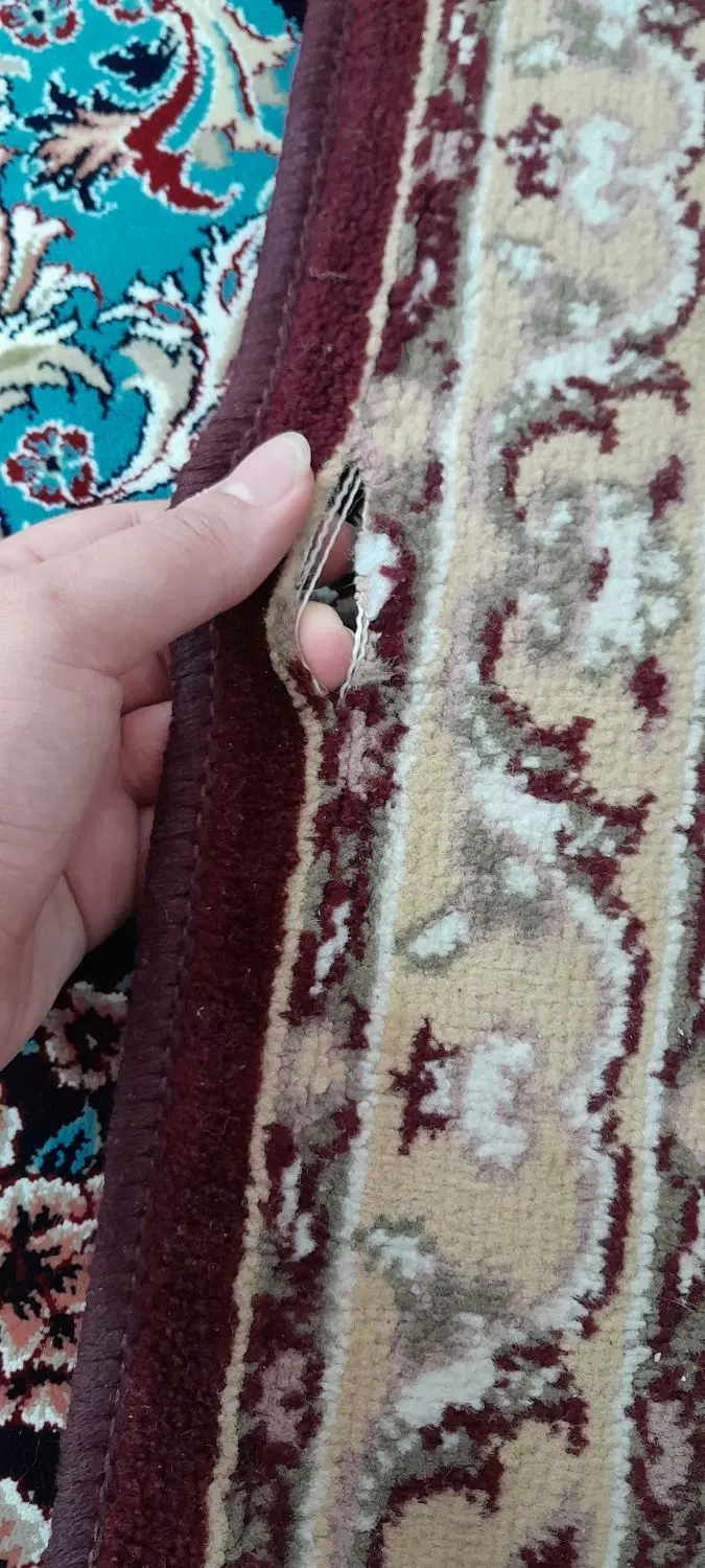کناره|فرش|مشهد, نوده|دیوار