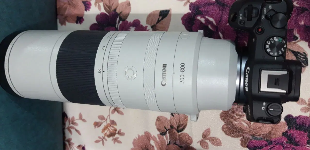 canon 200 800 و canon R8|دوربین عکاسی و فیلم‌برداری|قزوین, |دیوار