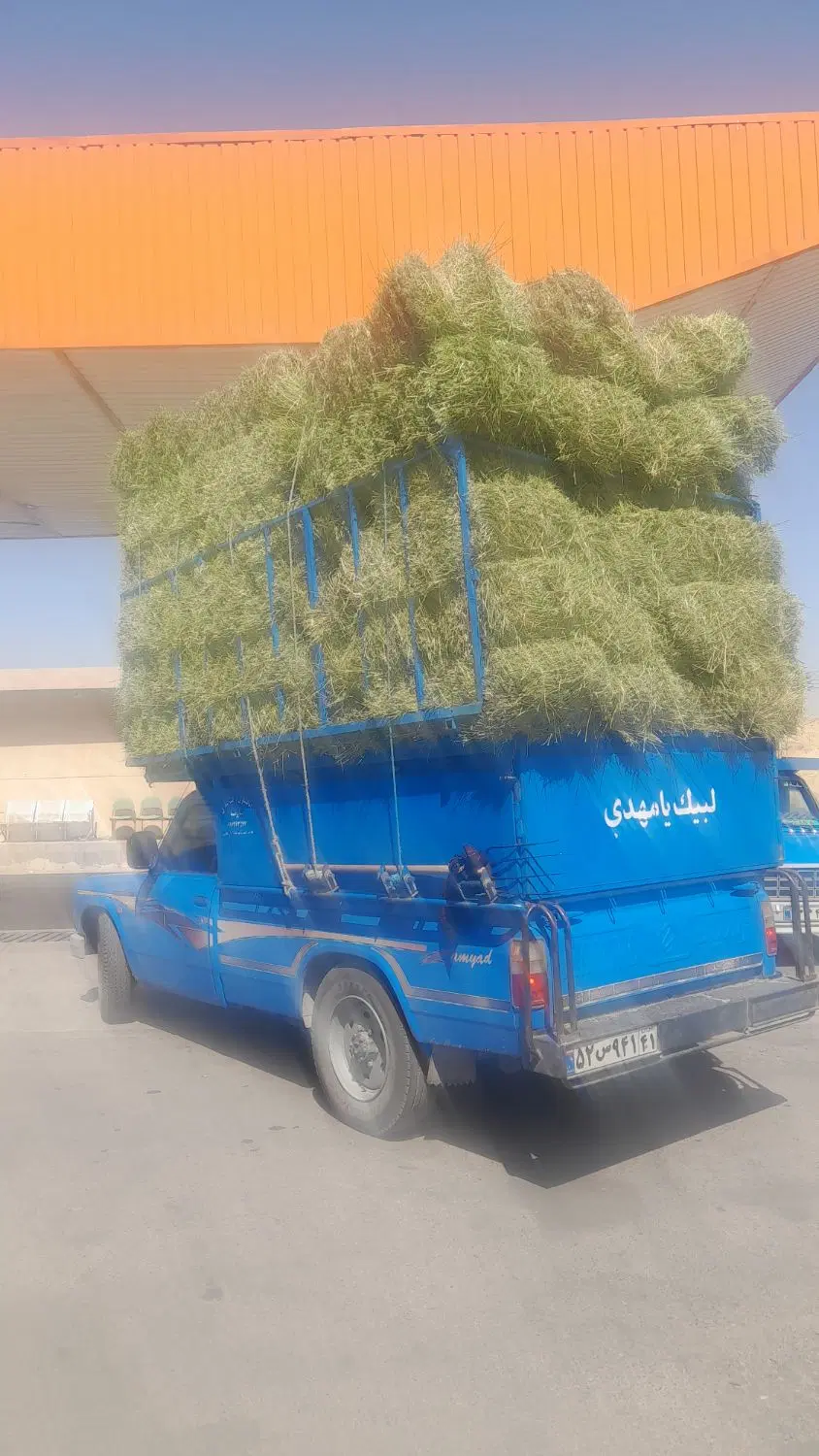 یونجه|لوازم جانبی حیوانات|کوهدشت, |دیوار
