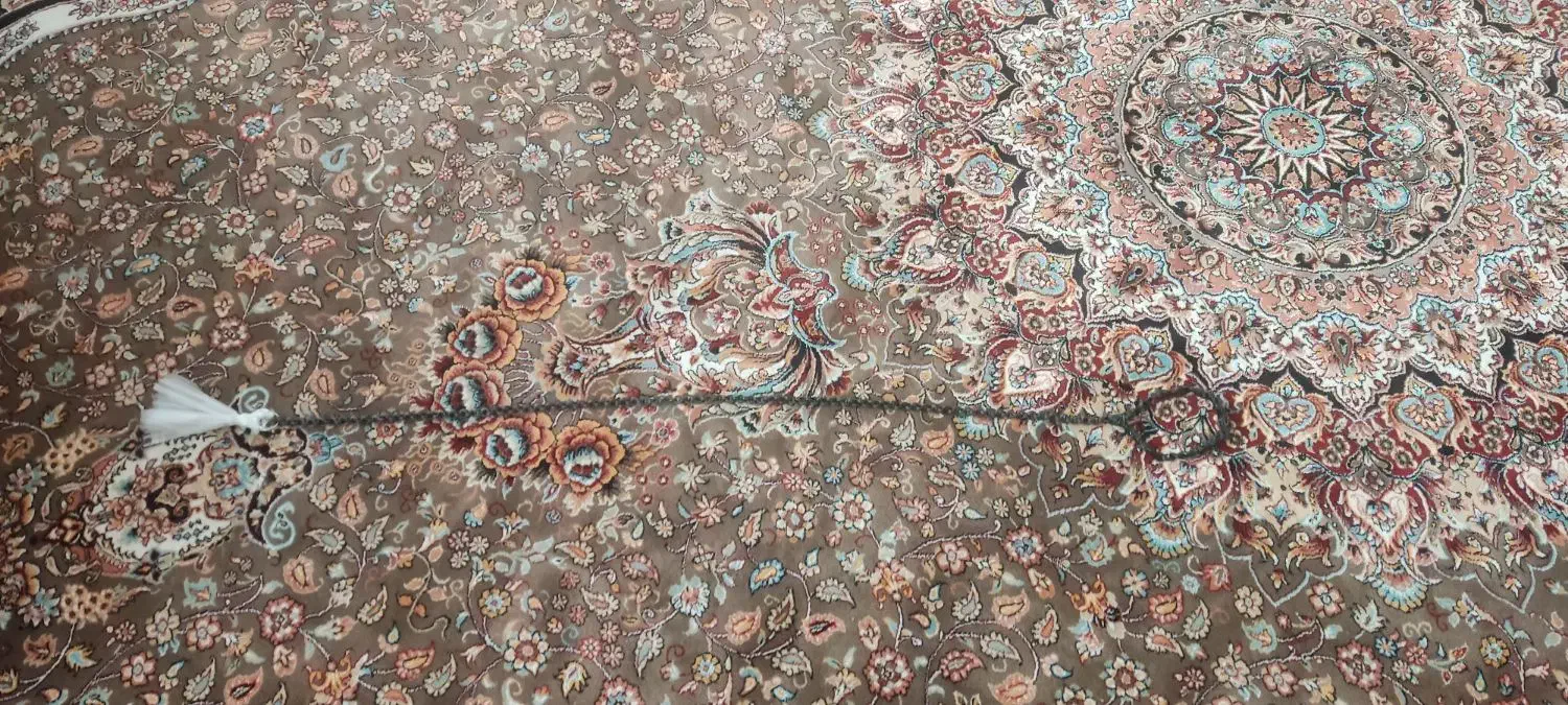 شلاق اسب|اسب و تجهیزات اسبسواری|اردکان, |دیوار