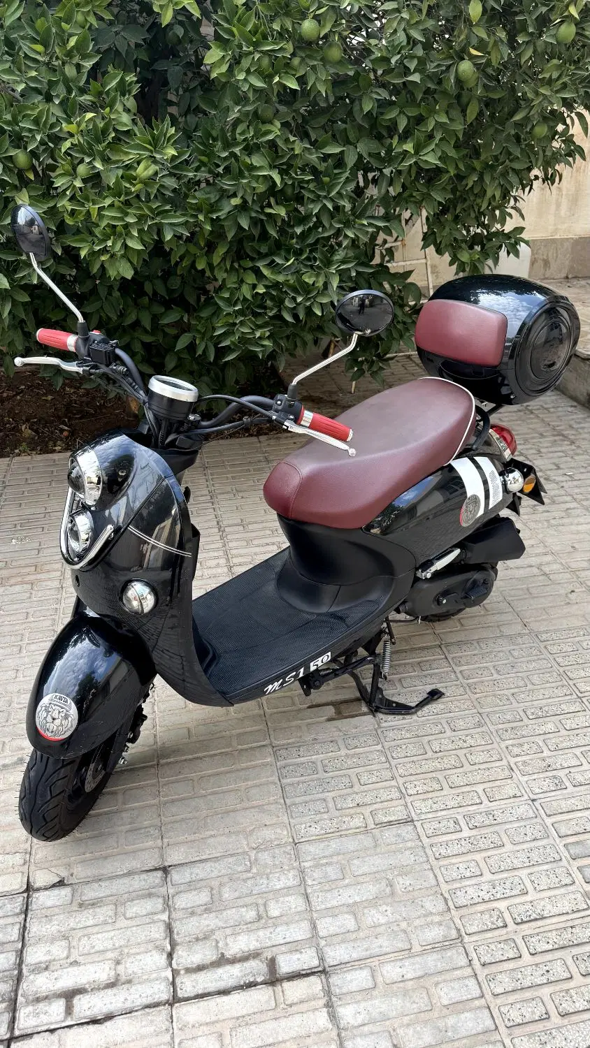کویر ms1 50|موتورسیکلت|شیراز, جانبازان|دیوار