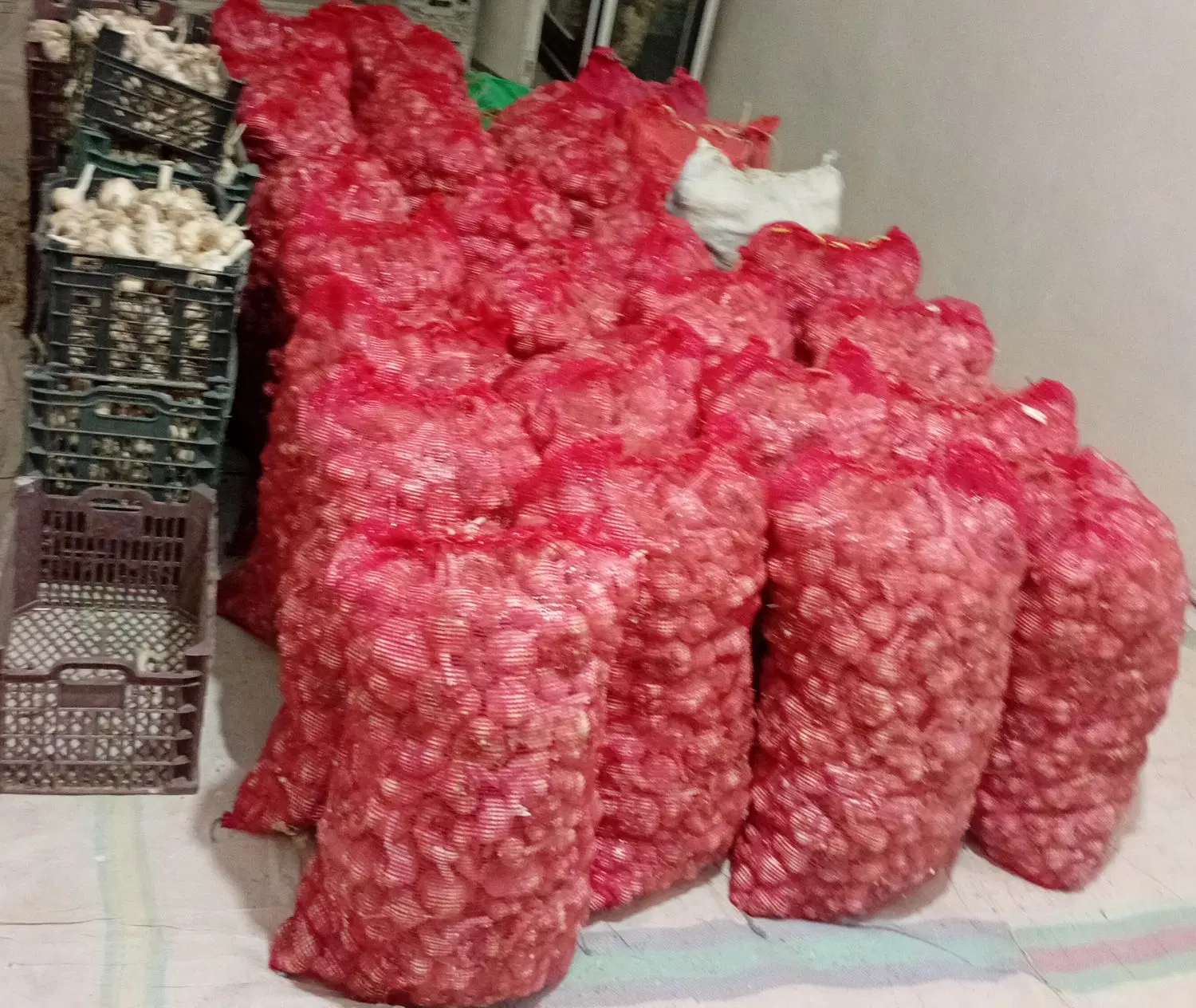 سیر|خوردنی و آشامیدنی|شراء, |دیوار