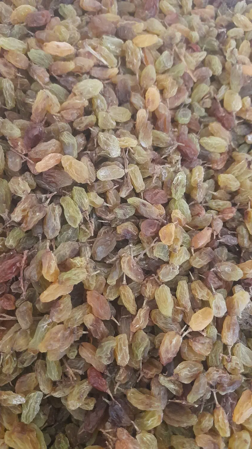 کشمش|خوردنی و آشامیدنی|زبرخان, |دیوار