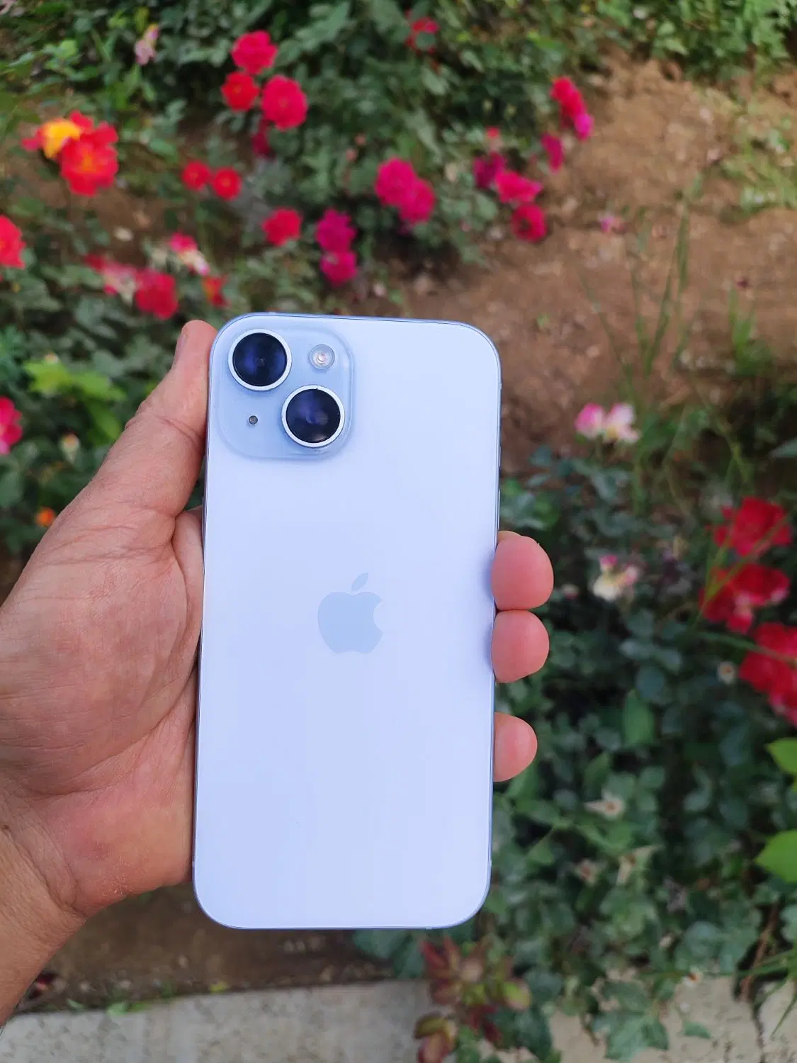 iphone 15 normal 256|موبایل|بانه, |دیوار