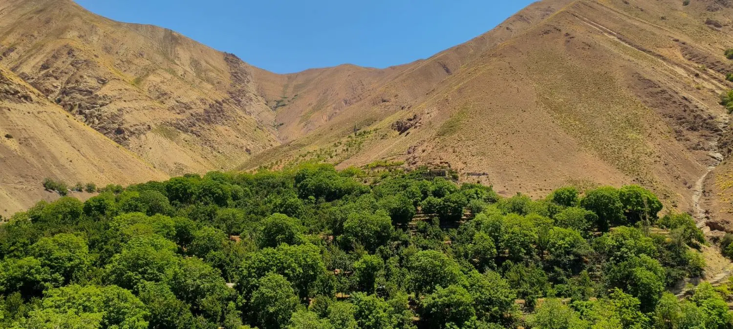 باغ|فروش زمین و ملک کلنگی|تهران, بهاران|دیوار