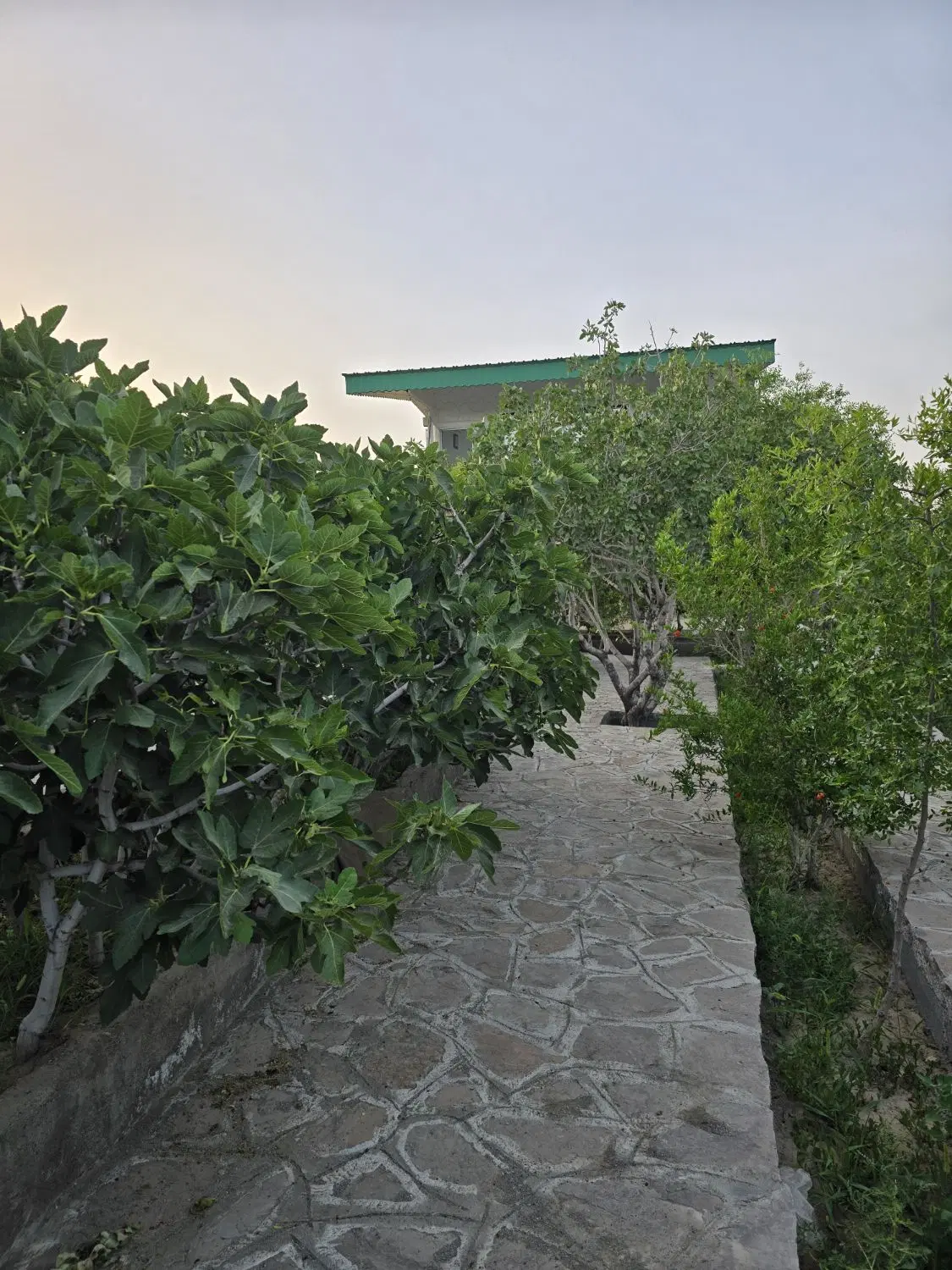 تصویر 15