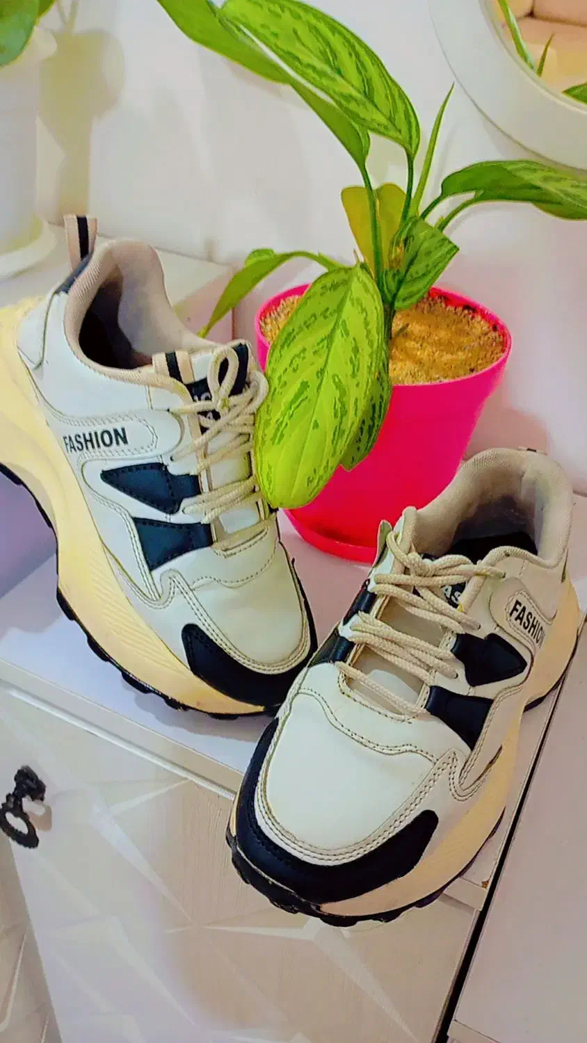 کفش|کیف، کفش، کمربند|پیشوا, |دیوار