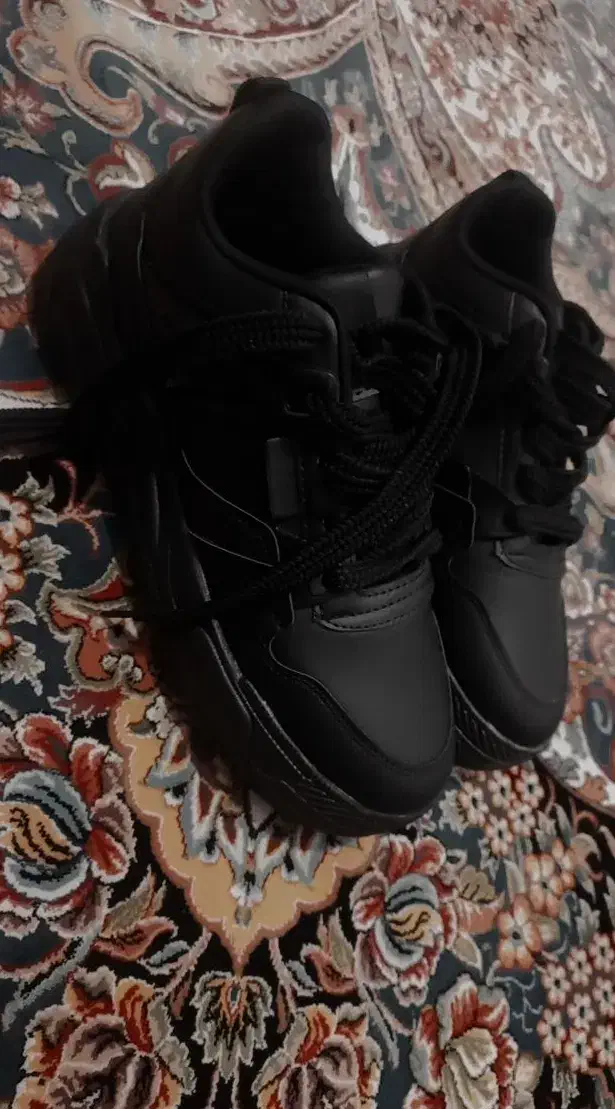 کفش|کیف، کفش، کمربند|کوهدشت, |دیوار