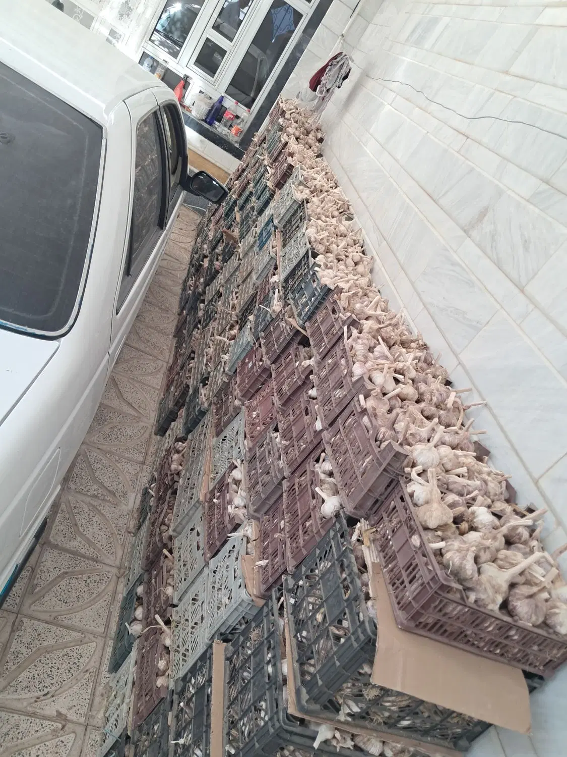 سیر|خوردنی و آشامیدنی|بناب, |دیوار