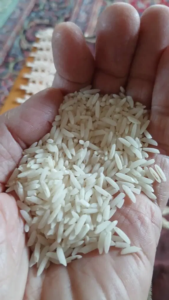برنج|خوردنی و آشامیدنی|رضوانشهر, |دیوار