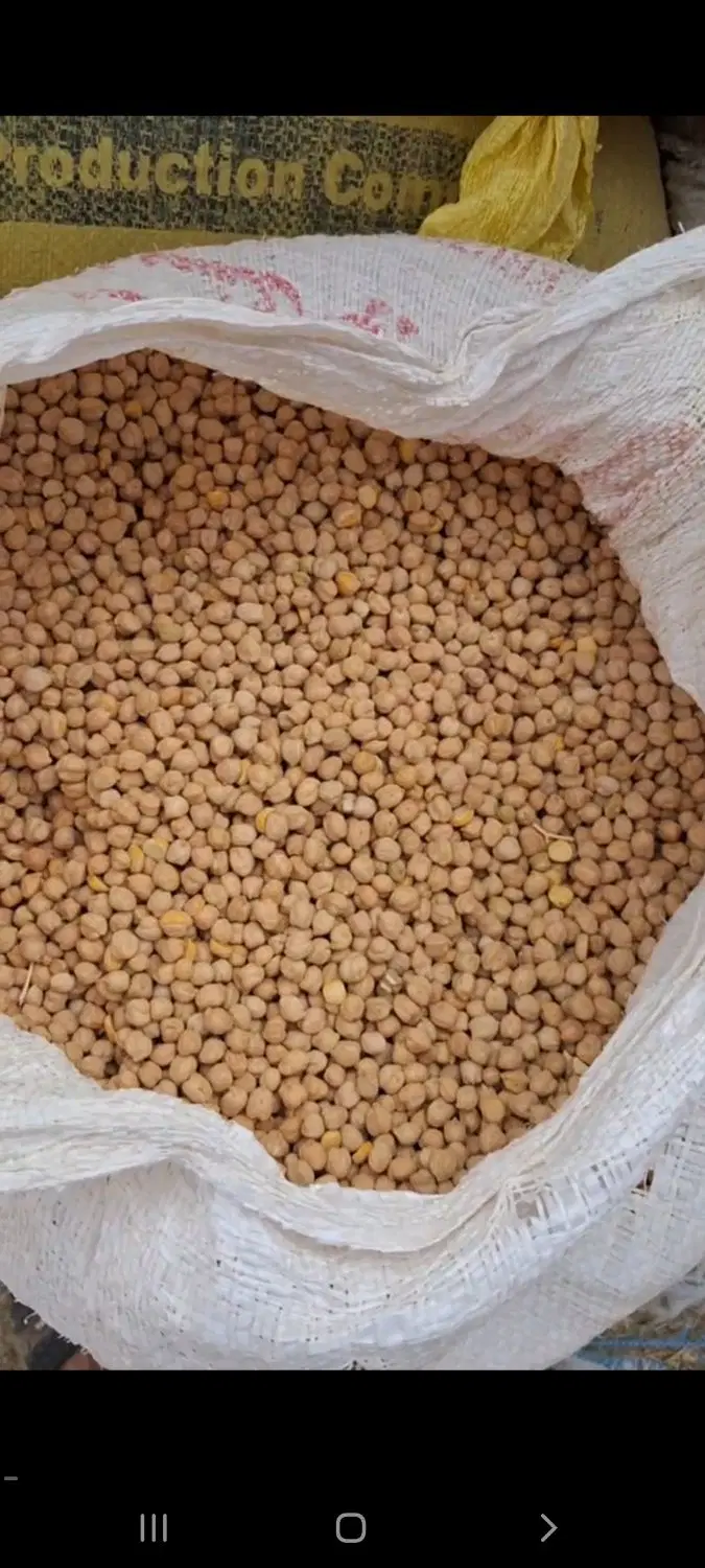 نخود|خوردنی و آشامیدنی|بروجرد, |دیوار