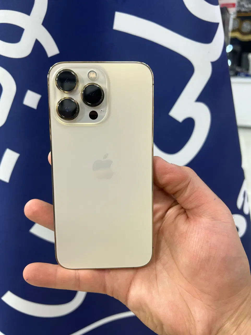 iphone 13 pro|موبایل|قم, چهل درخت|دیوار