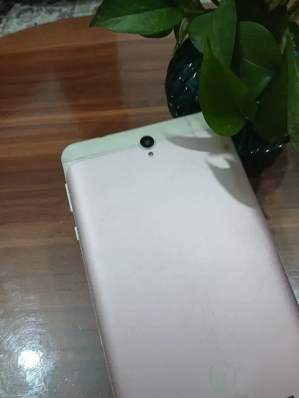 تبلت ساینا|تبلت|رشت, حمیدیان|دیوار