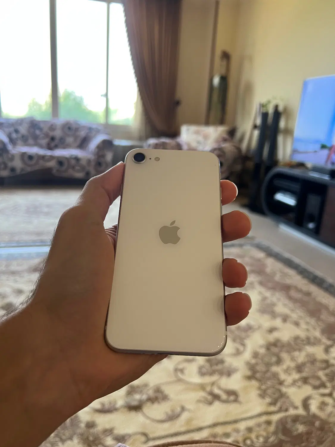iPhone SE 2020|موبایل|کیش, |دیوار