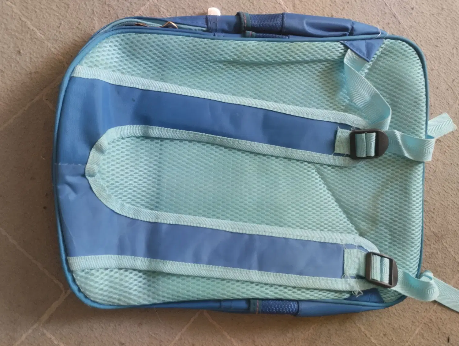 کیف|کیف، کفش، کمربند|بندر گناوه, |دیوار