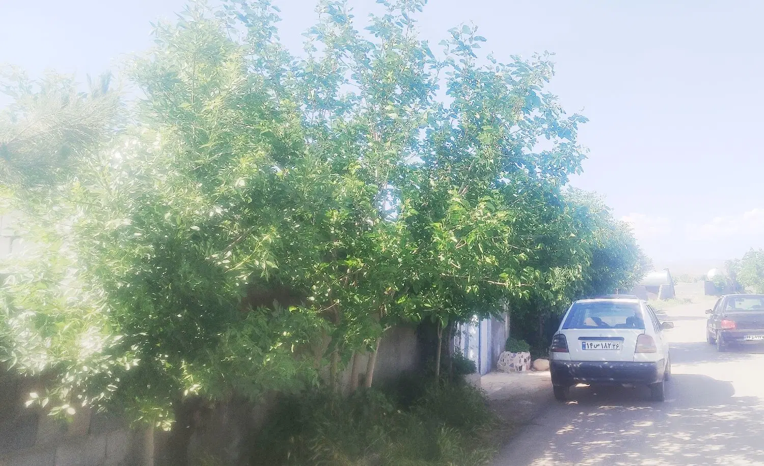 تصویر 4