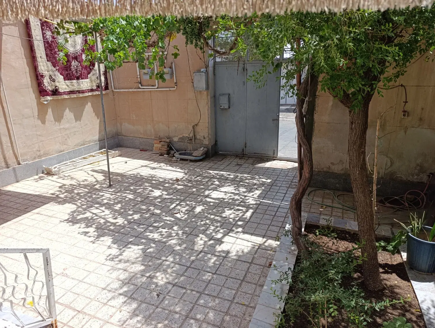 تصویر 6