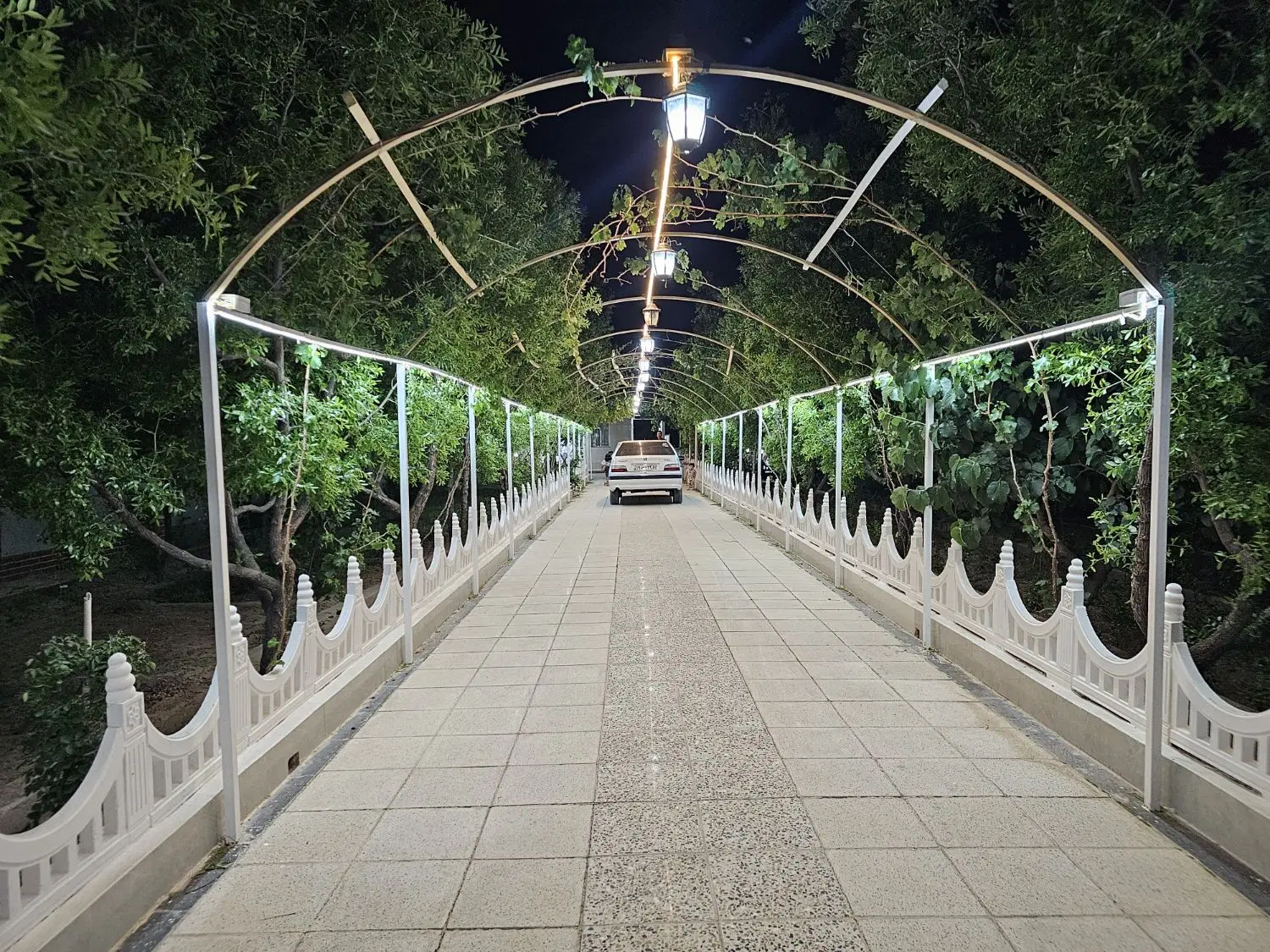 تصویر 7
