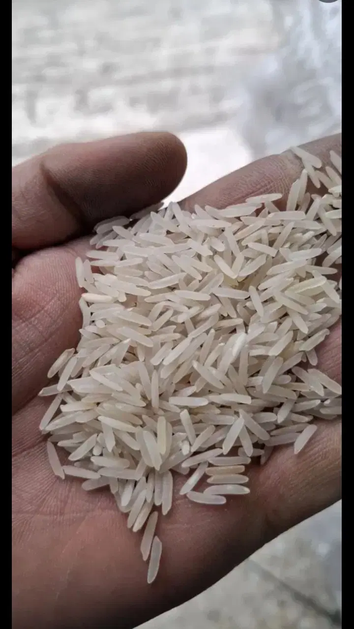 برنج|خوردنی و آشامیدنی|مراغه, |دیوار