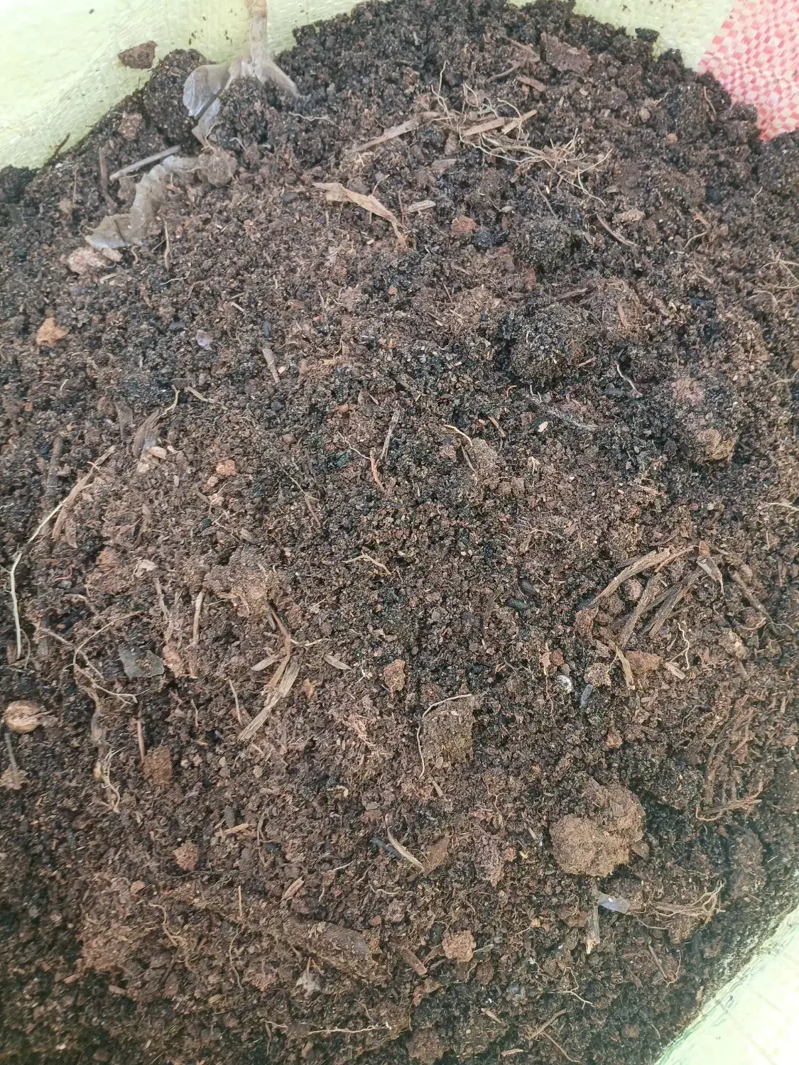 کود حیوانی|گل و گیاه طبیعی|رشت, حومه رشت|دیوار