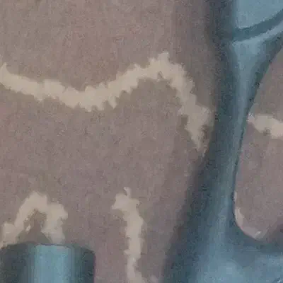 5/5|جاروبرقی، جارو شارژی، بخارشو|جیرفت, |دیوار