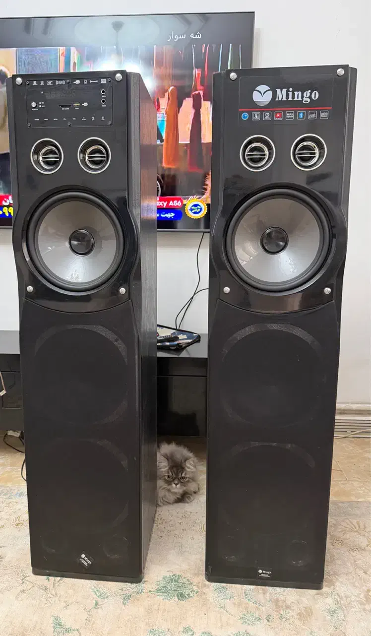 باند|سیستم صوتی خانگی|کرج, عظیمیه|دیوار