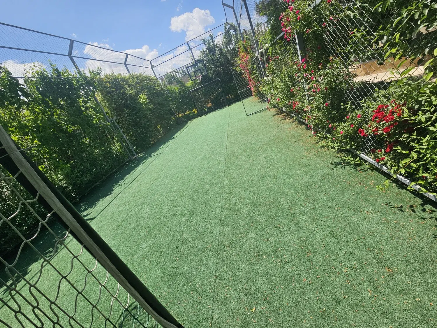 تصویر 6