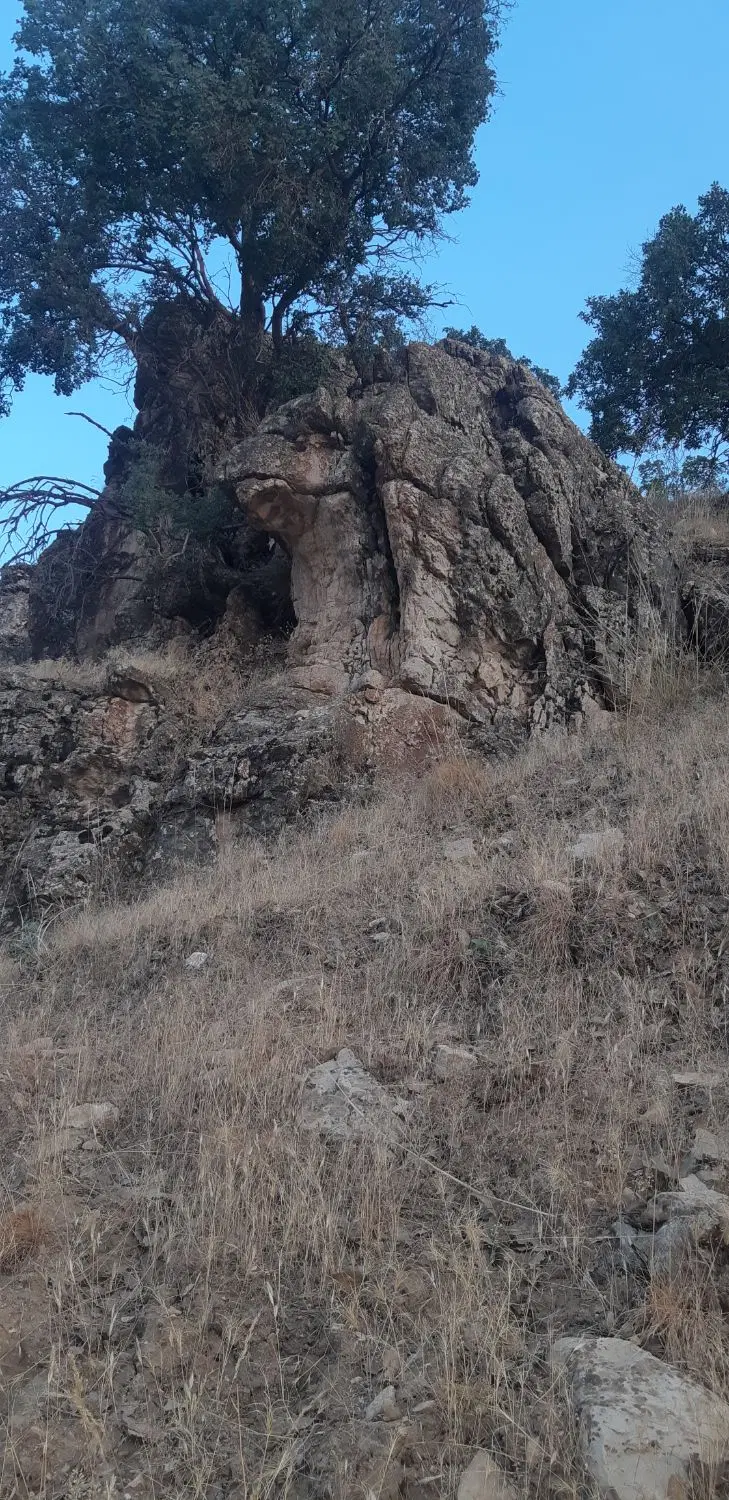 09181109096|سیم‌کارت|همدان, |دیوار