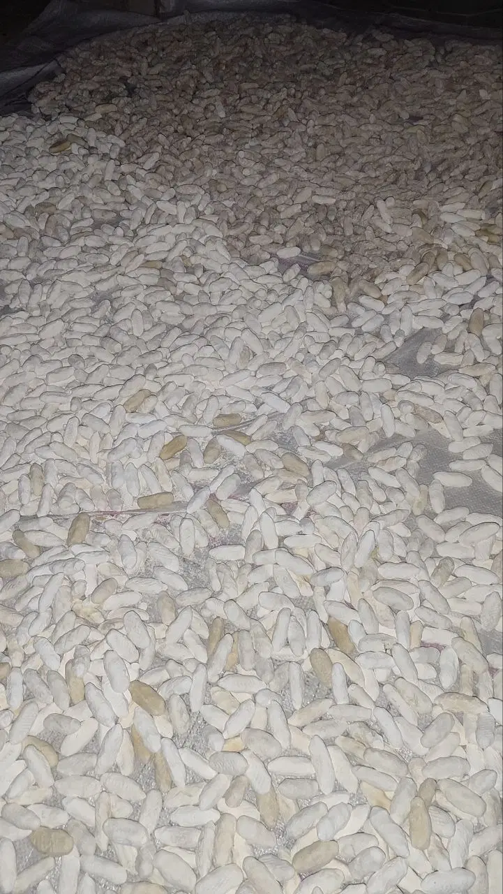 کشک|خوردنی و آشامیدنی|میبد, |دیوار