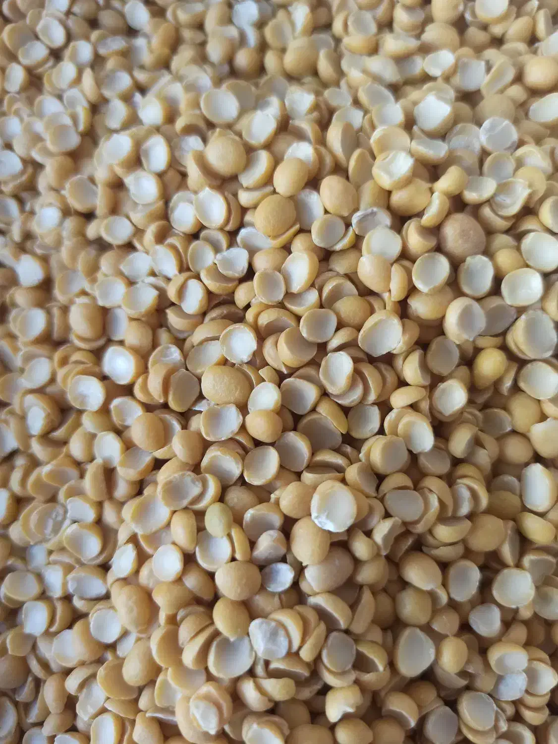 کالابرگ|خوردنی و آشامیدنی|مرودشت, ژیان|دیوار
