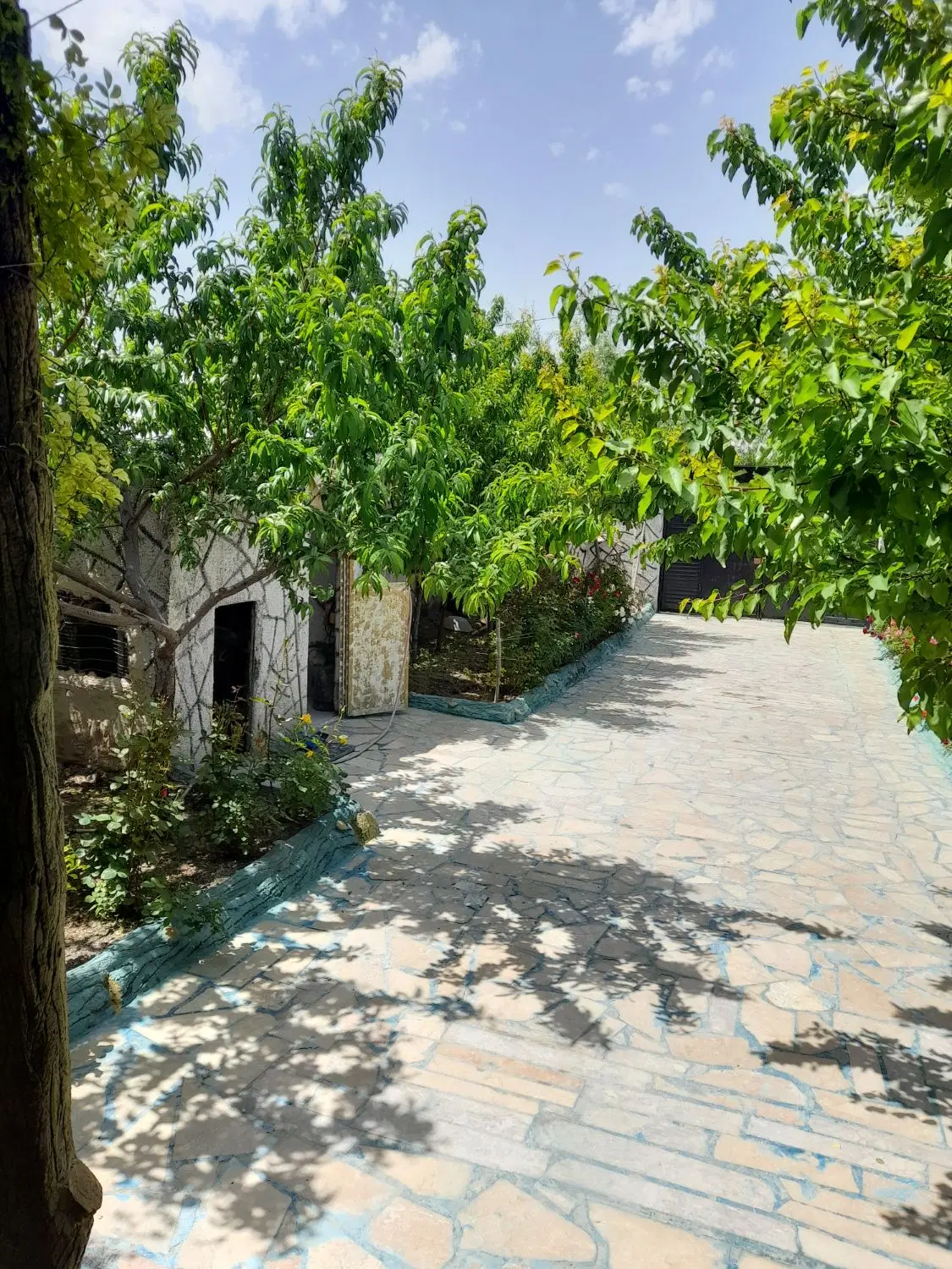 تصویر 2