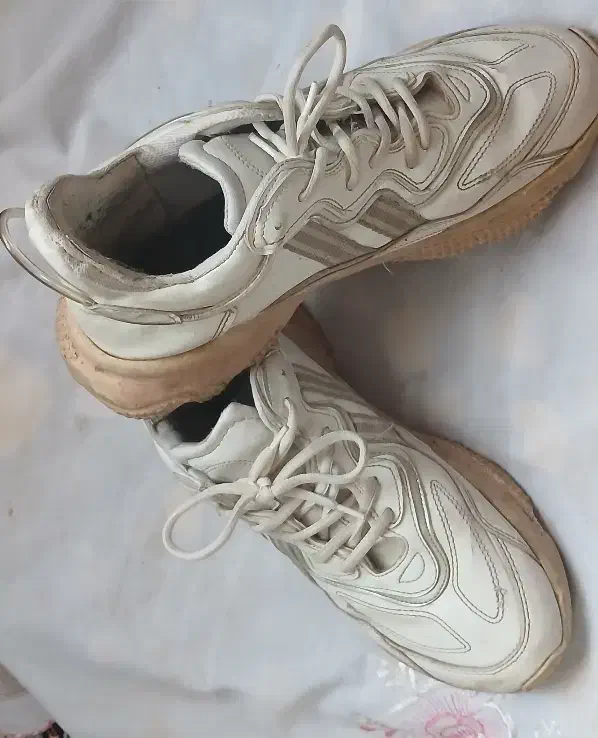 ۲عدد کفش|کیف، کفش، کمربند|بجنورد, |دیوار