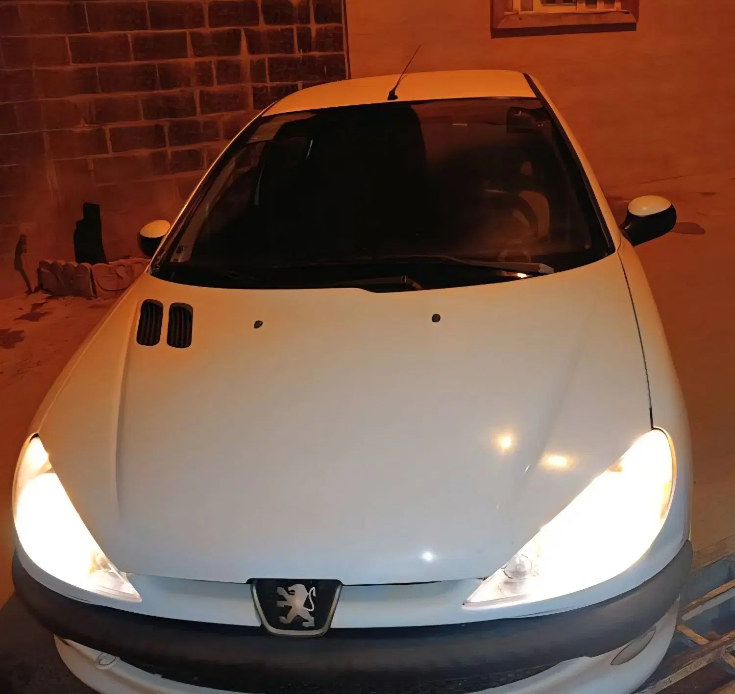 206 sd v8|خودرو سواری و وانت|بوشهر, |دیوار