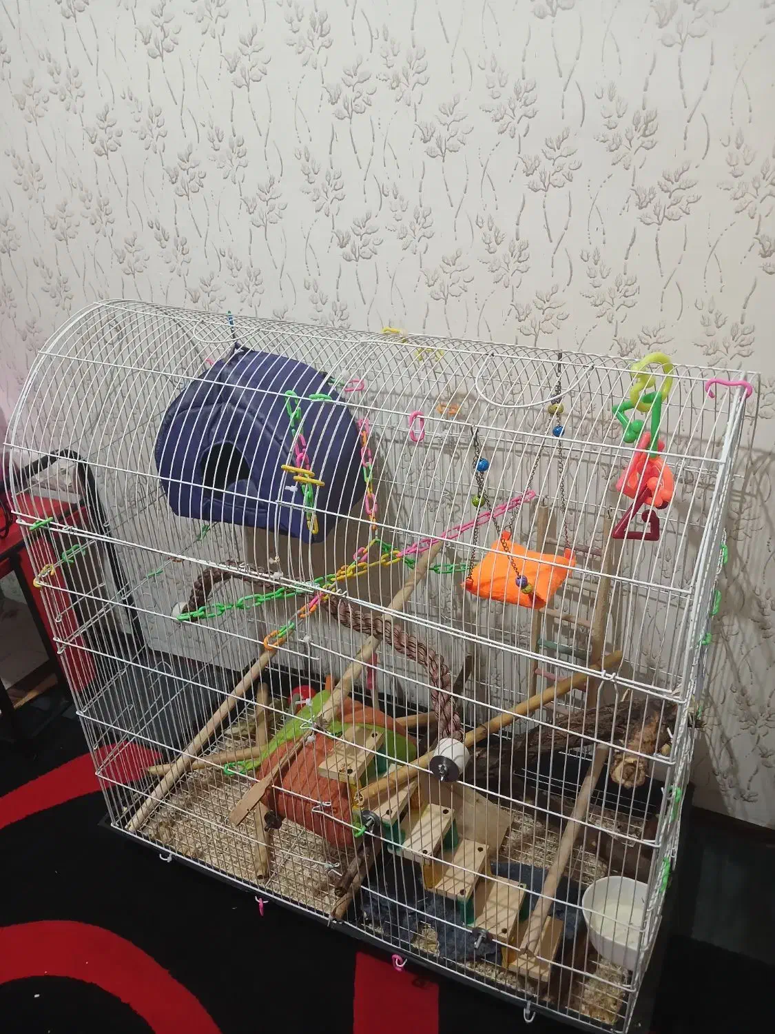 قفس بزرگ|لوازم جانبی حیوانات|محمدیه-قزوین, |دیوار