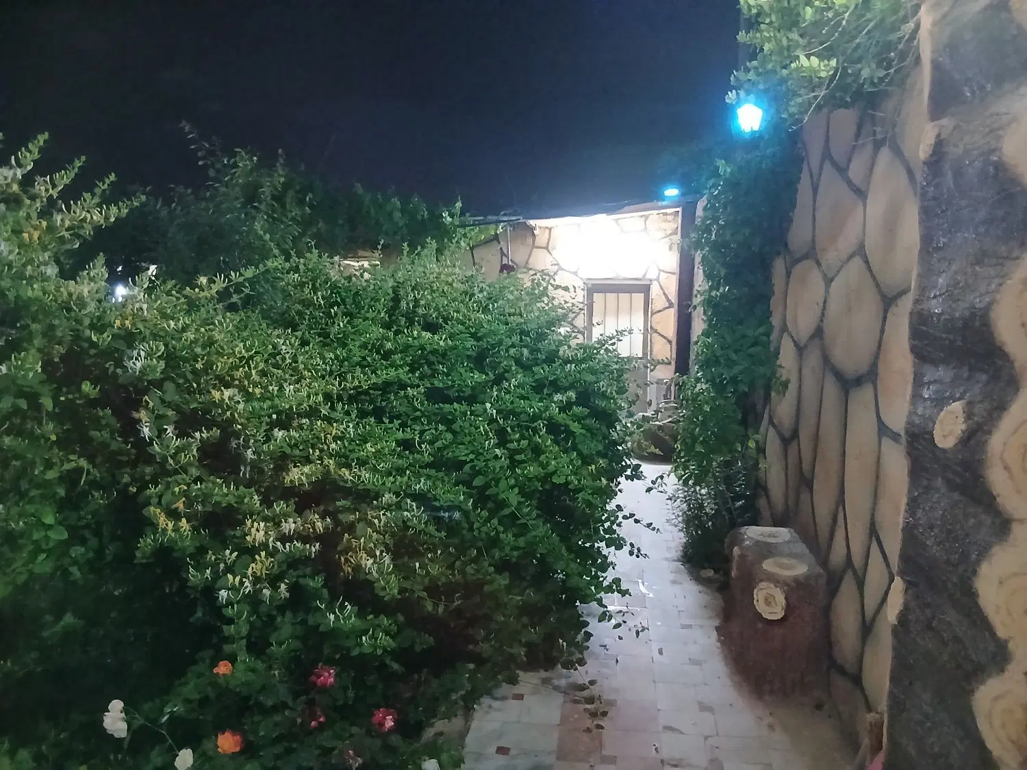 تصویر 13