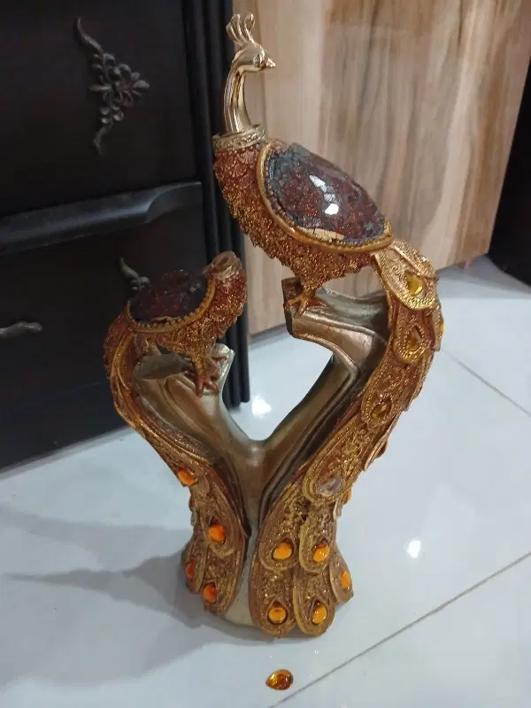 طاووس|مجسمه، تندیس، ماکت|کرج, حسین‌آباد|دیوار