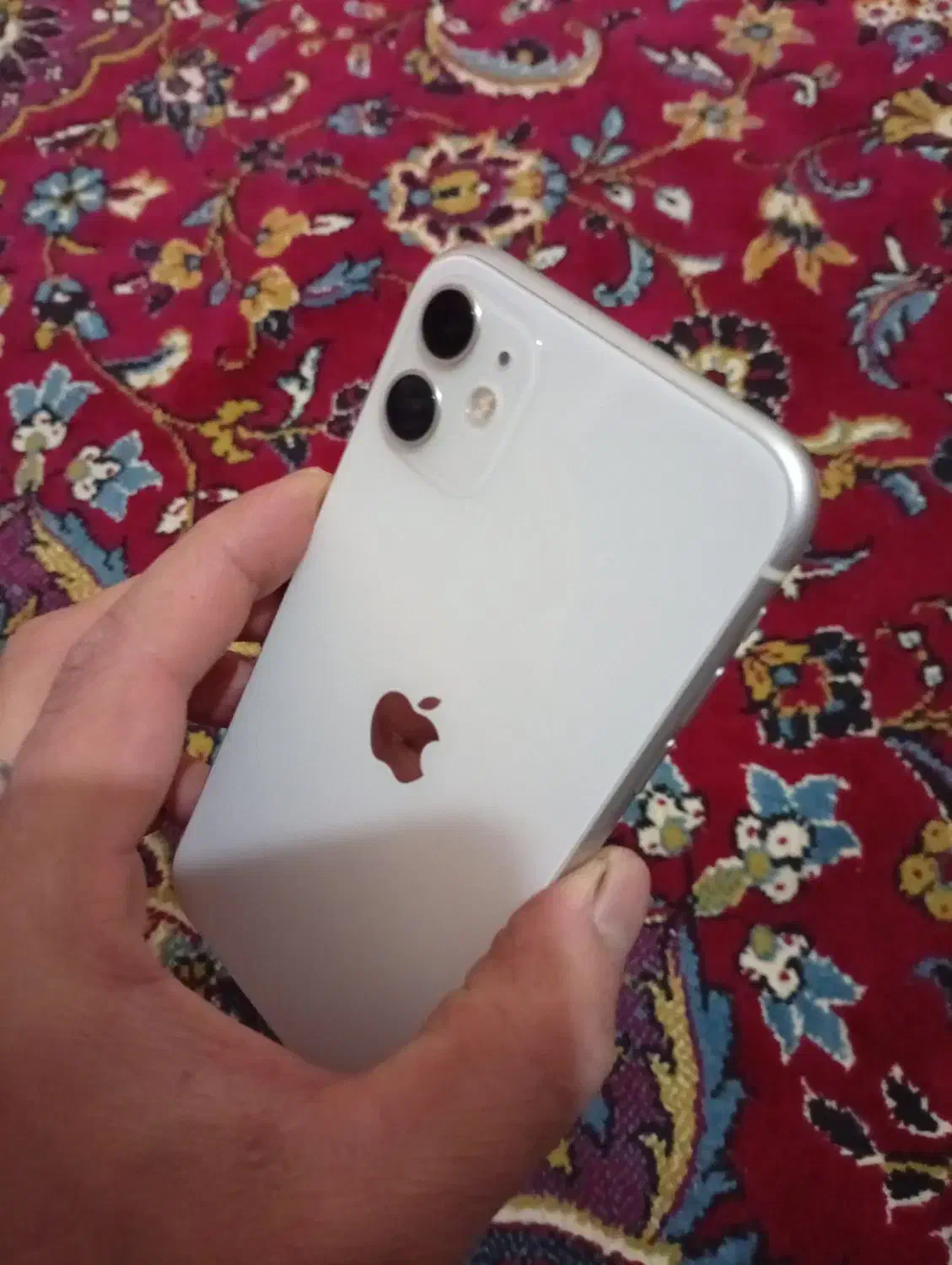iphoneh 11 normal|موبایل|بناب, |دیوار