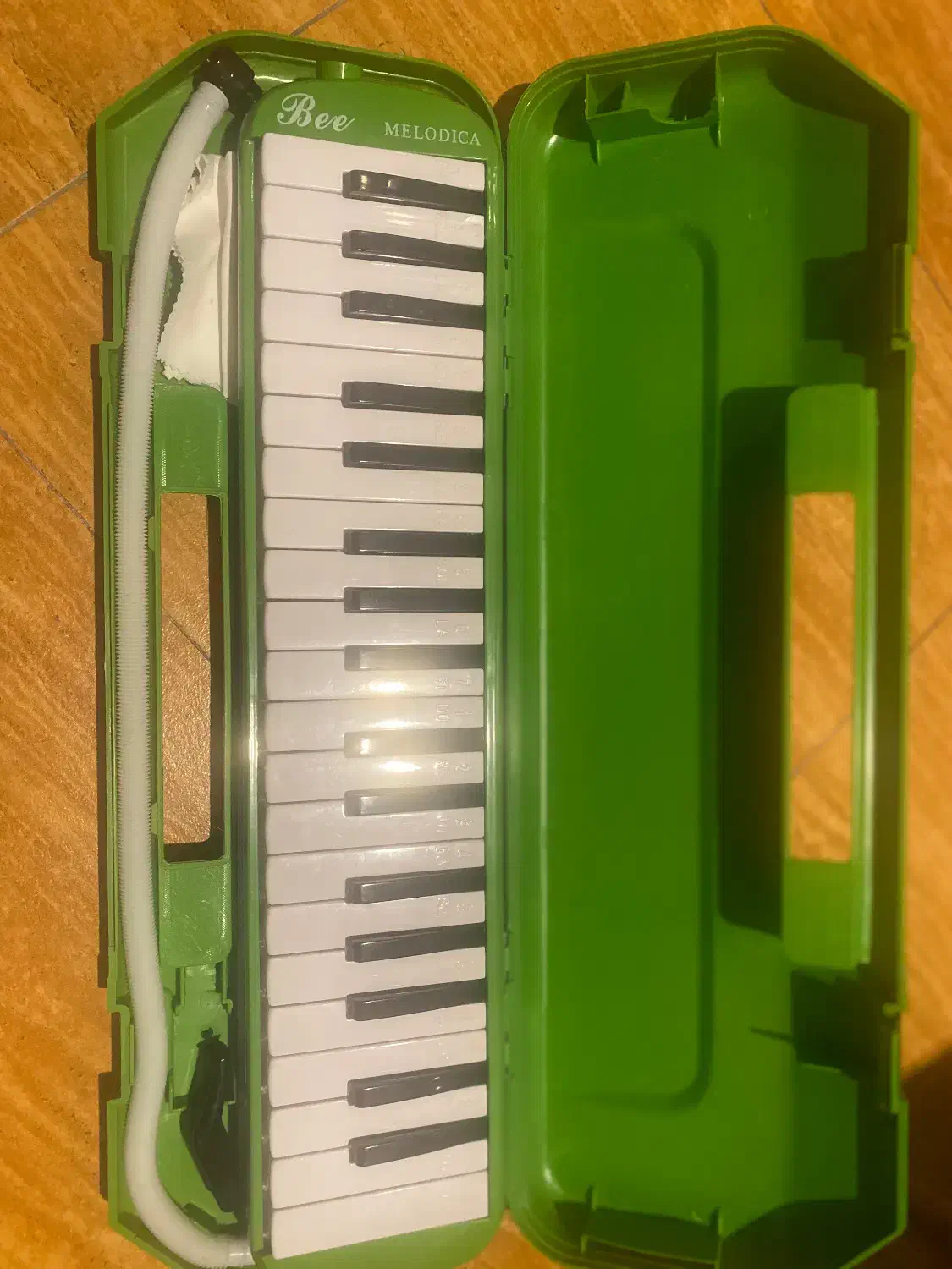 ملودیکا نو|آلات موسیقی|کیش, |دیوار