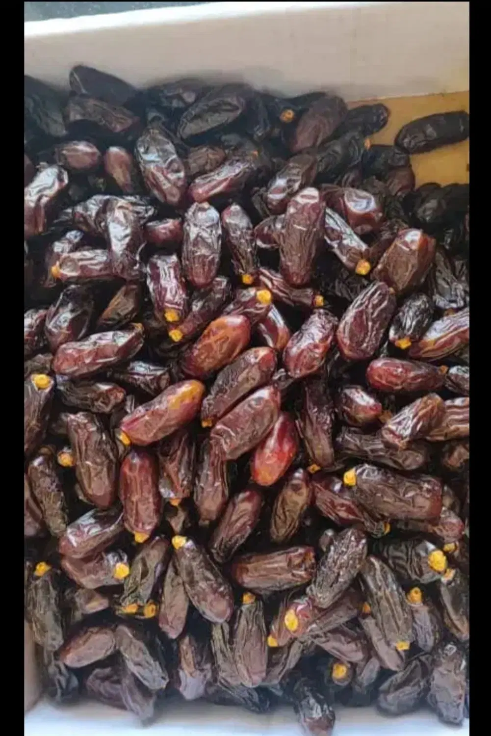 خرما|خوردنی و آشامیدنی|شهریار, شهرک وائین|دیوار