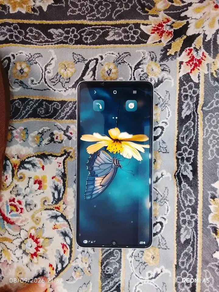 samsung a06|موبایل|قروه, |دیوار