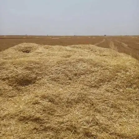 کاه|لوازم جانبی حیوانات|اسلام‌‌آباد غرب, |دیوار
